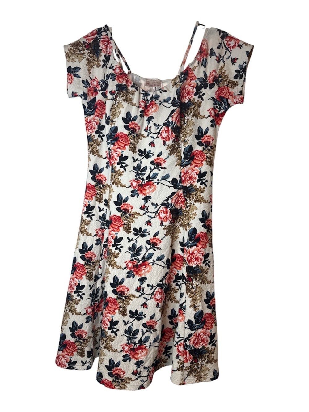 Fashion Magazine Cream Floral A-Line Dress with Pink Roses